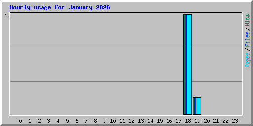 Hourly usage for January 2026