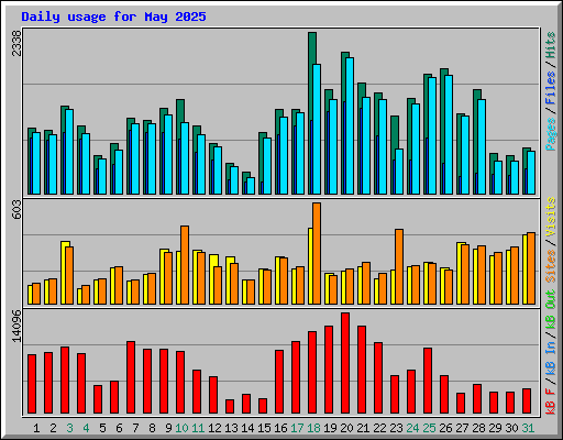 Daily usage for May 2025