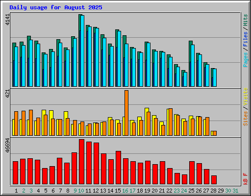 Daily usage for August 2025