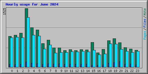 Hourly usage for June 2024