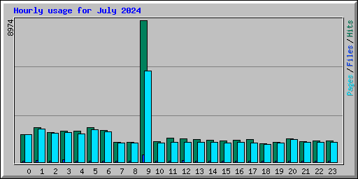 Hourly usage for July 2024