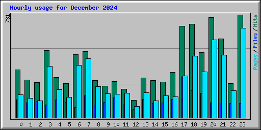 Hourly usage for December 2024