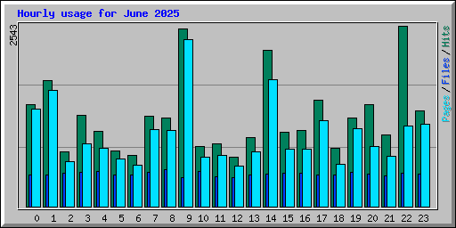 Hourly usage for June 2025
