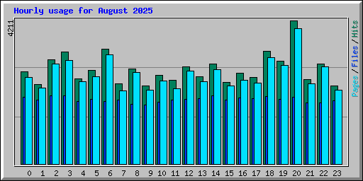 Hourly usage for August 2025