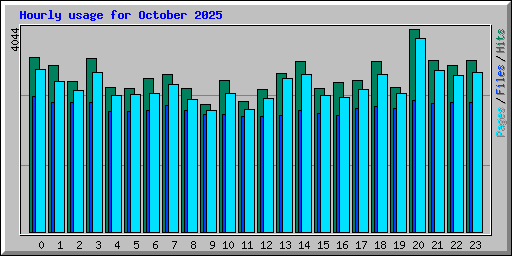 Hourly usage for October 2025