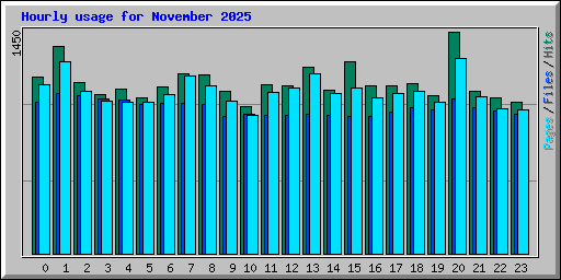 Hourly usage for November 2025
