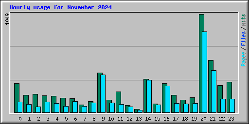 Hourly usage for November 2024