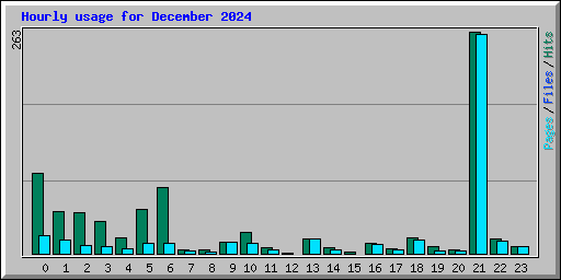 Hourly usage for December 2024