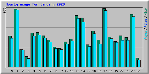 Hourly usage for January 2026