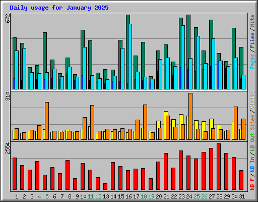 Daily usage for January 2025