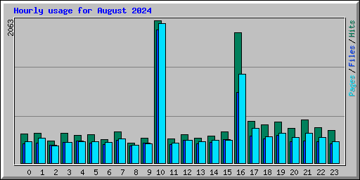 Hourly usage for August 2024