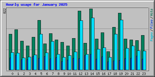 Hourly usage for January 2025