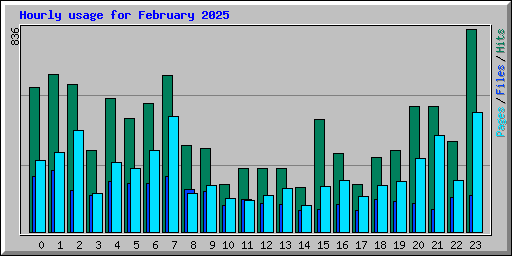 Hourly usage for February 2025