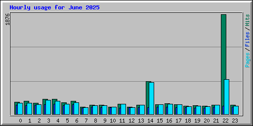 Hourly usage for June 2025