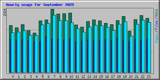 Hourly usage for September 2025