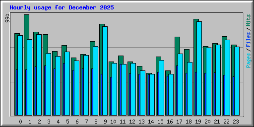 Hourly usage for December 2025