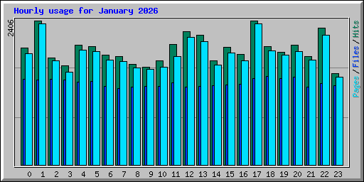 Hourly usage for January 2026