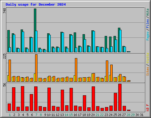 Daily usage for December 2024