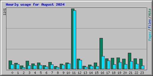 Hourly usage for August 2024