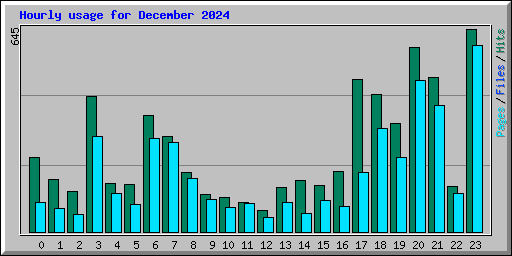 Hourly usage for December 2024