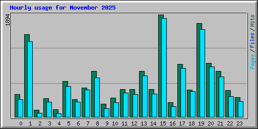 Hourly usage for November 2025