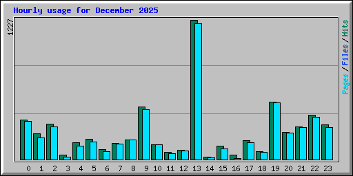 Hourly usage for December 2025